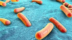 New Delhi atakuje w Polsce. Jak się obronić przed bakterią?