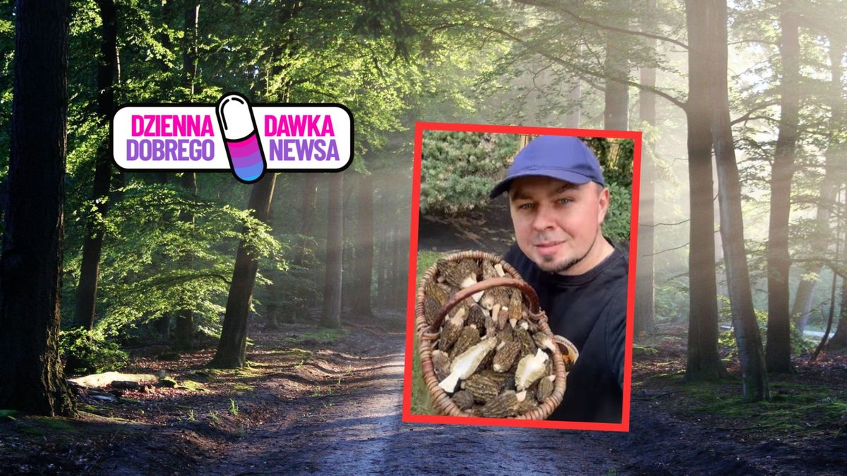 Smardze już są! Wiosenny hit grzybiarzy