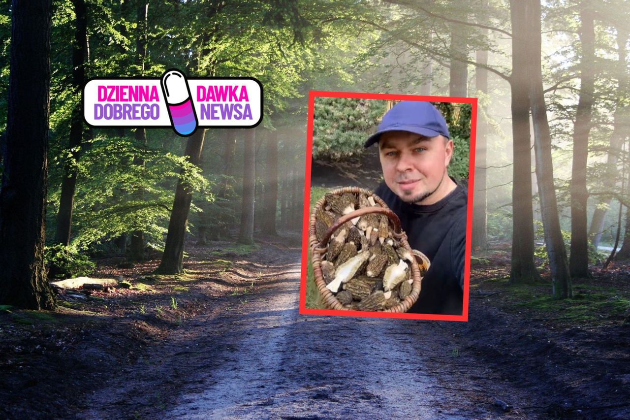 Hit grzybiarzy. Już są. Uzbierał cały kosz. Ledwo się zmieściły