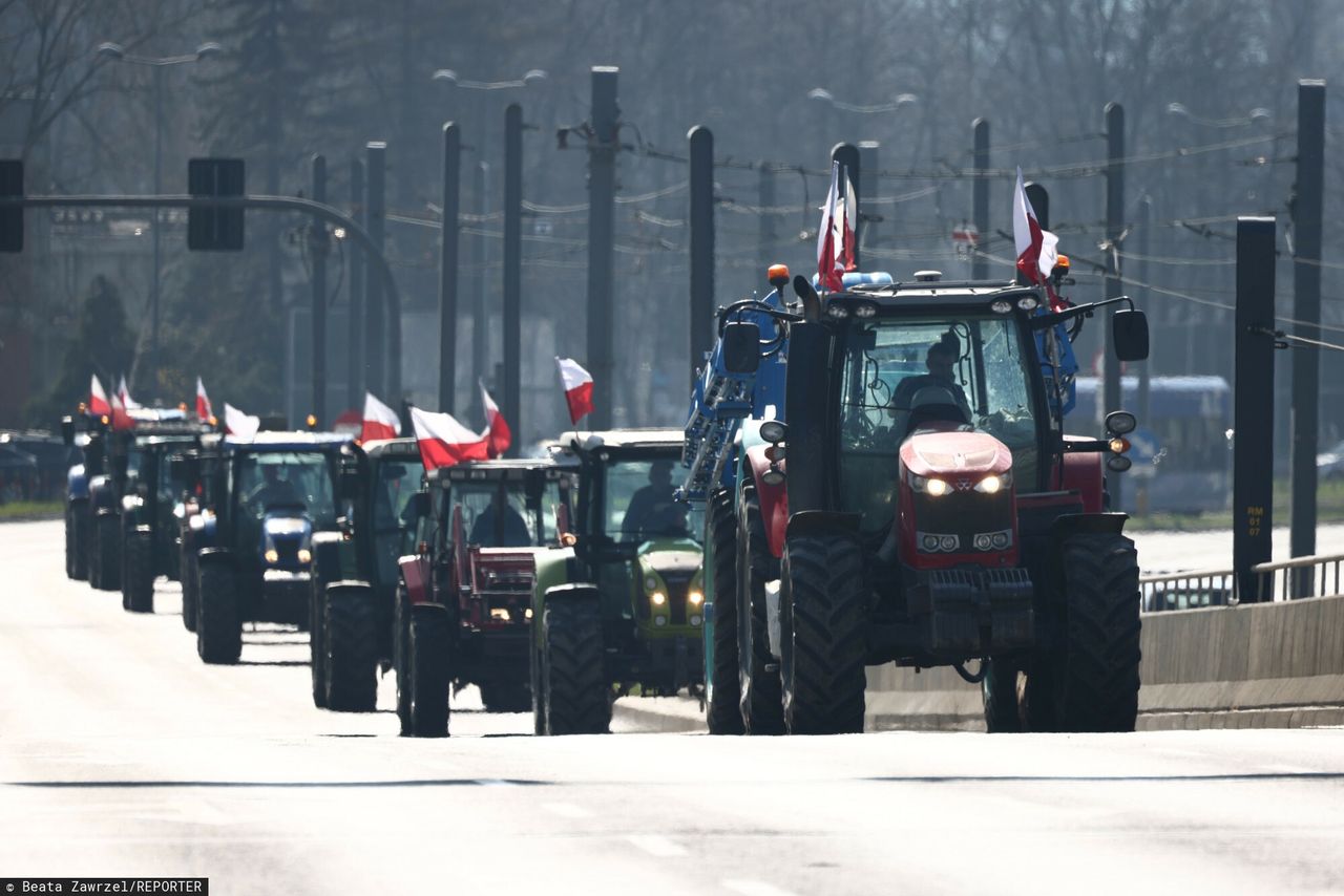 Kto jest odpowiedzialny za falę protestów? Polacy wskazują winnych