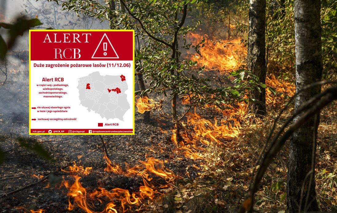 RCB wydało alert dotyczący zagrożenia pożarowego w lasach