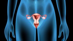 Wagina (kobieca pochwa) - budowa, kształty, higiena