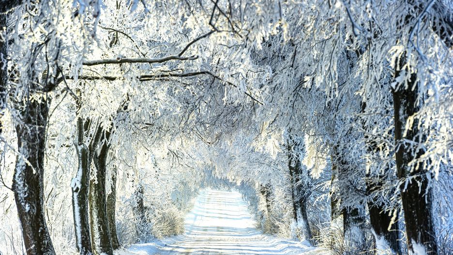 We wtorek trochę się ociepli. Nz. Wysoczyzna Elbląska