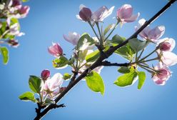 Pogoda na majówkę? "Można już zmieniać opony"