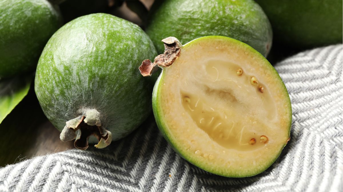 Owoce feijoa mają kremowy, słodko-kwaśny miąższ