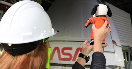 Misja Artemis I. W kosmos polecą manekin, fantomy i pies Snoopy