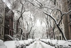 Pogoda długoterminowa na zimę 2021. Śnieżyce i wysokie mrozy mogą być codziennością