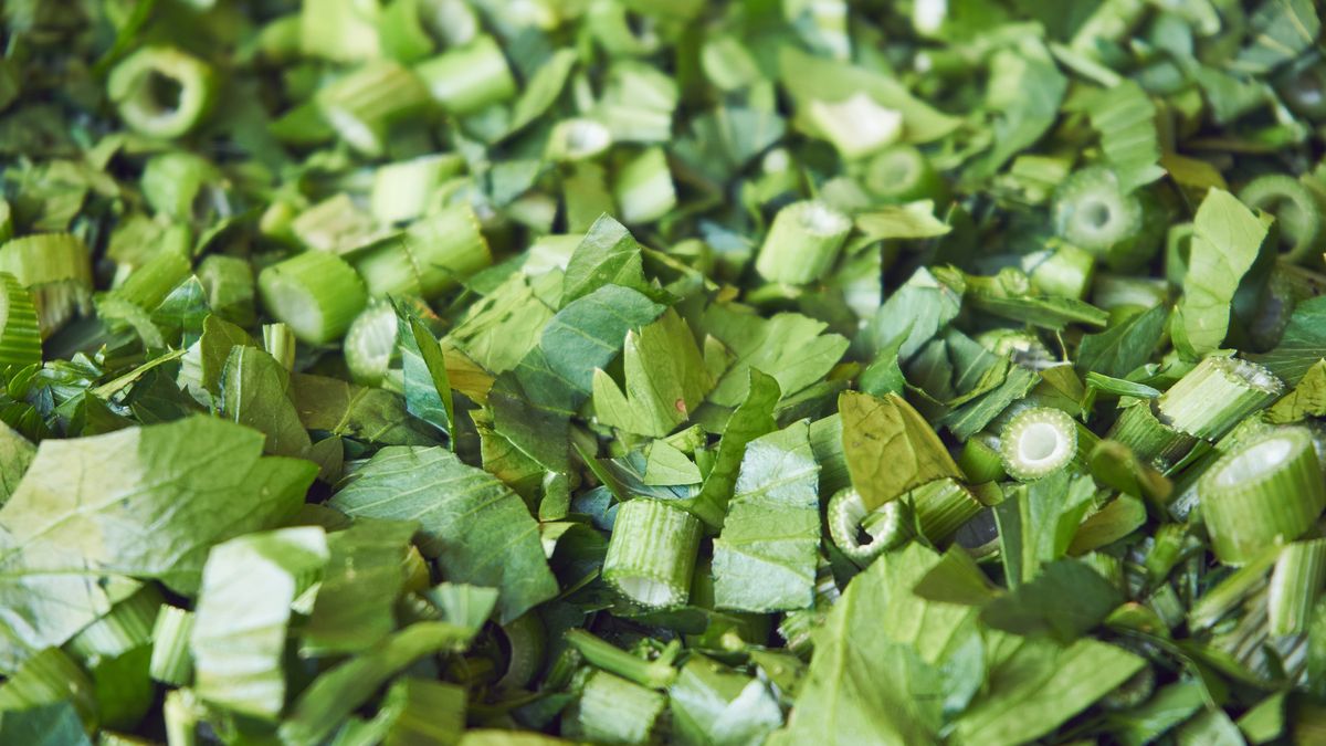 Lubczyk i jego właściwości