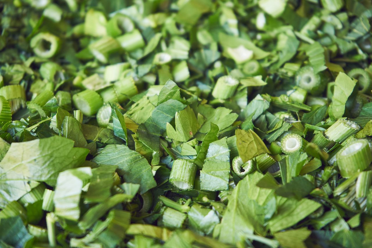 Lubczyk i jego właściwości