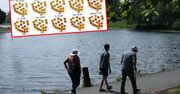 Uderzenie gorąca u progu lata. Mapy nie pozostawiają złudzeń
