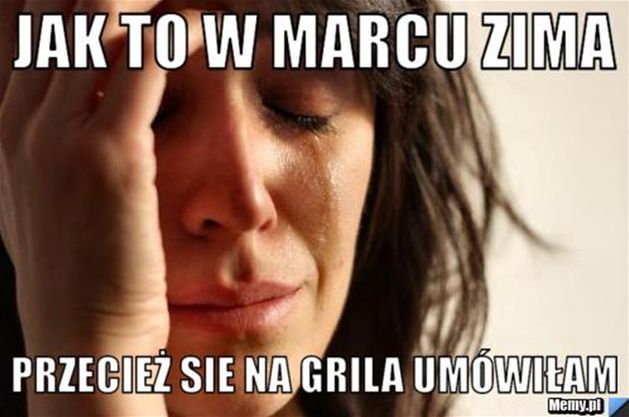 Wiosna nie nadeszła, internauci wyżywają się w memach. Zobaczcie najlepsze z nich 19
