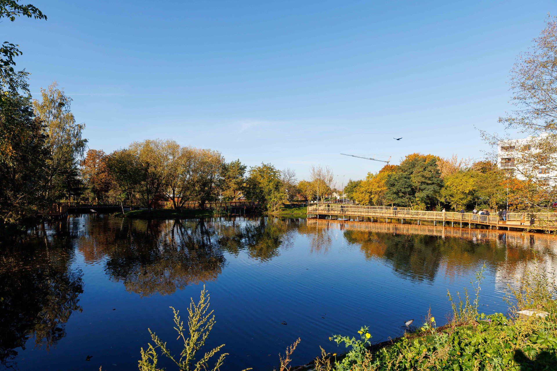 Mieszkańcy chwalą sobie nowy teren rekreacyjny na osiedlu Bema. Zwracają tylko uwagę na problem psich kup