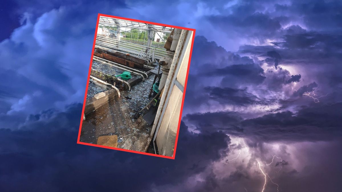 Burza zniszczyła szklarnię