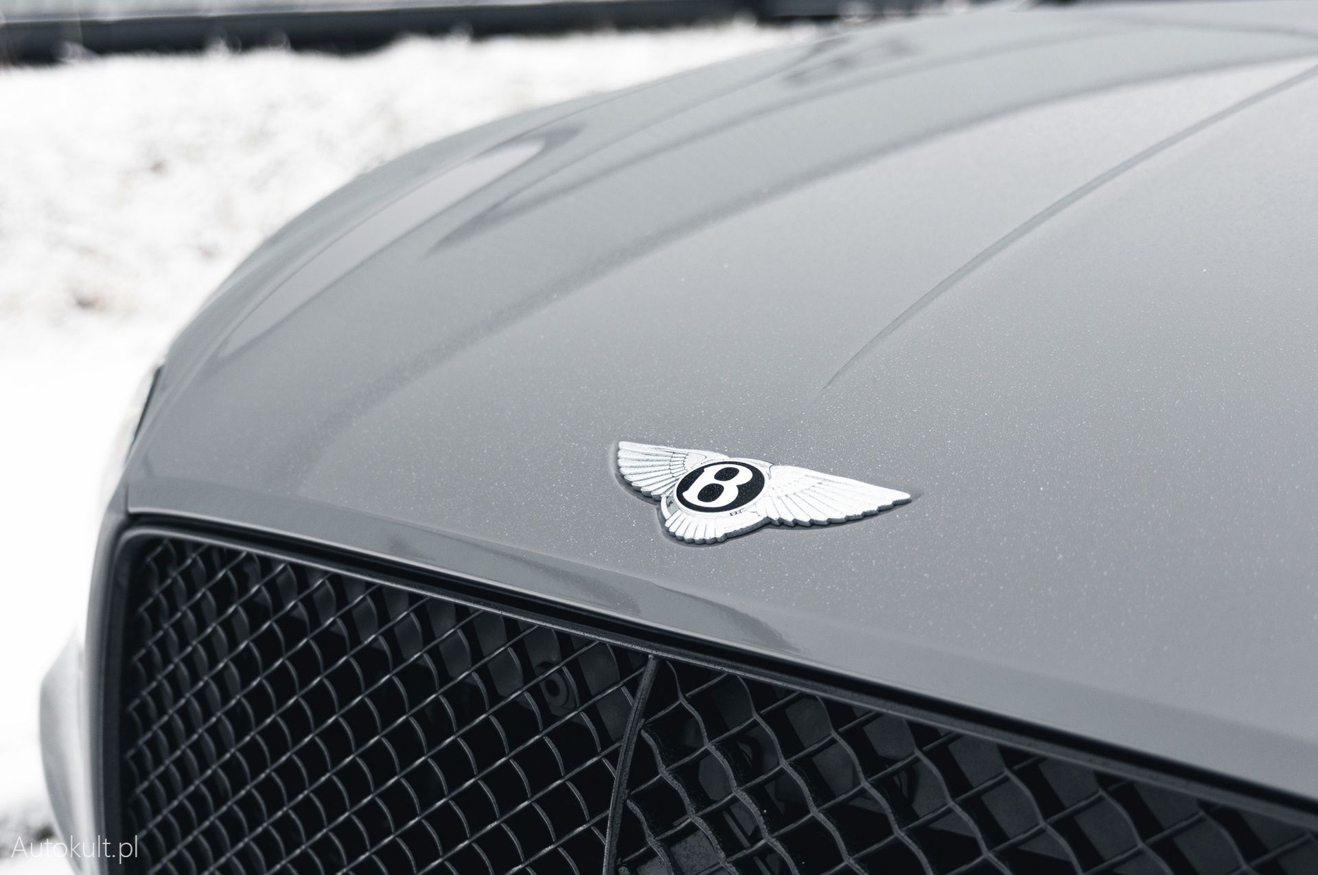 Bentley Continental GT Speed (2022)
