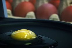 Test WP: Jajka. Lepsze "trójki" czy prosto ze wsi? Sprawdzamy