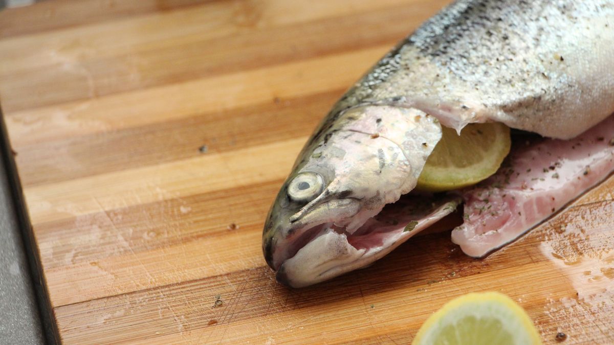 Surowy hodowlany pstrąg tęczowy