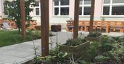 Warszawa: Młodzież chce więcej zieleni zamiast betonu. Jest pomysł na wyjątkowe miejsce