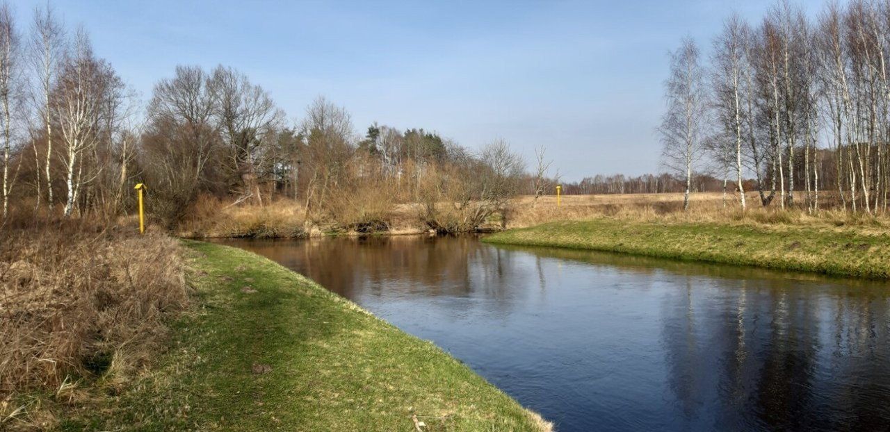 Skutki bytności bobrów w powiecie sławieńskim