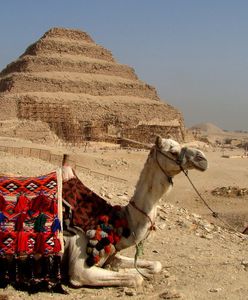 Egipt otwiera granice i wpuszcza turystów. Na razie do kilku ośrodków
