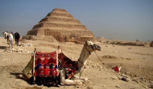 Egipt otwiera granice i wpuszcza turystów. Na razie do kilku ośrodków