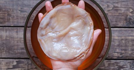 Scoby - co to jest i jak działa?