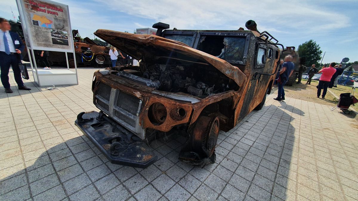 Rosyjski Tigr w Kielcach