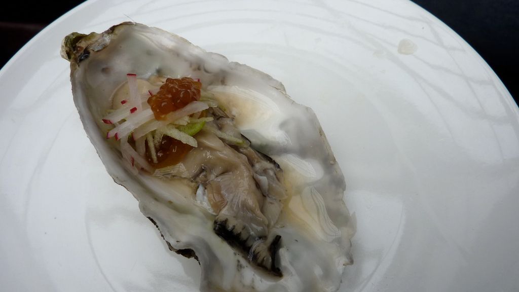 Dzika ostryżyca amerykańska poddana obróbce wysuszającej mięso