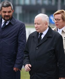 Wzrost notowań dla partii Kaczyńskiego. Nowy sondaż WP