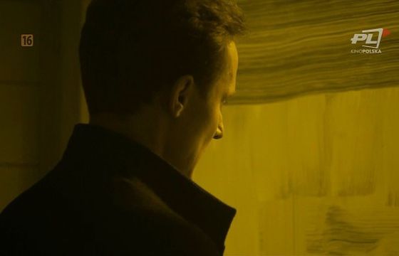 Kino Polska TV z rekordowym zyskiem. Pomaga współpraca z Canal+