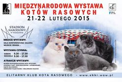 Międzynarodowa Wystawa Kotów Rasowych na Narodowym