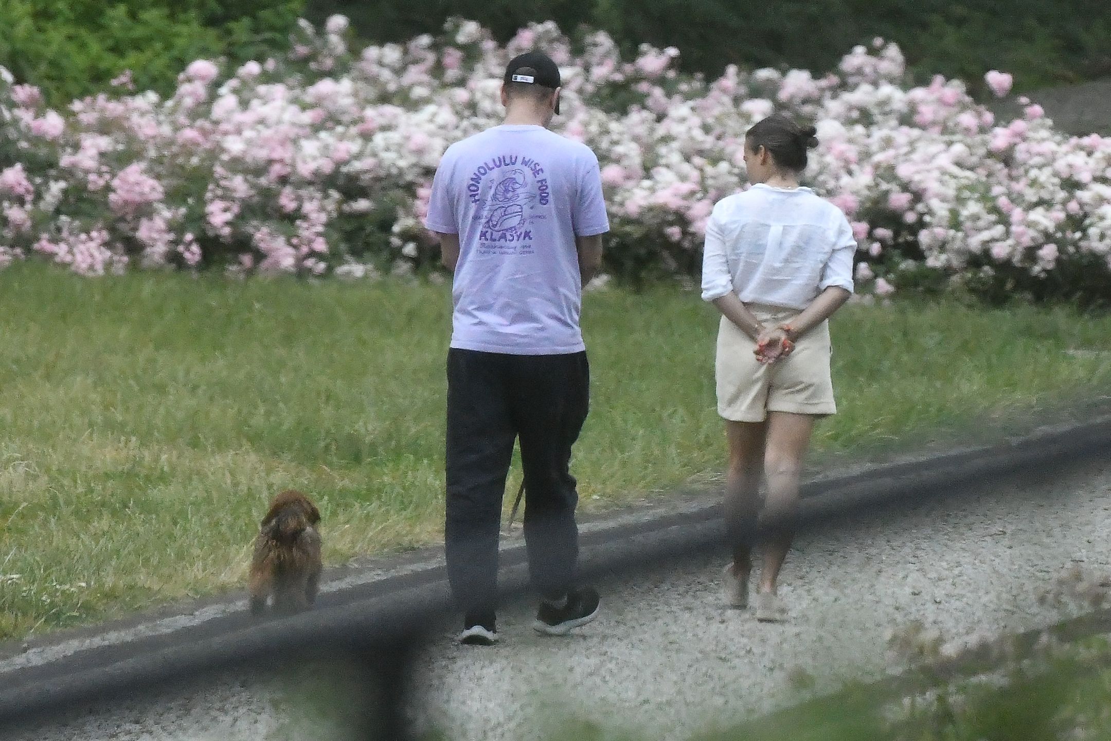 Anna Mucha, Jakub Wons