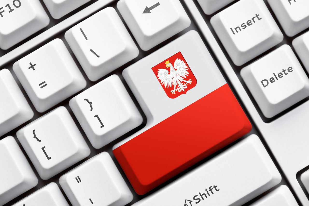 Raport MAiC: Polacy lubią e-administrację