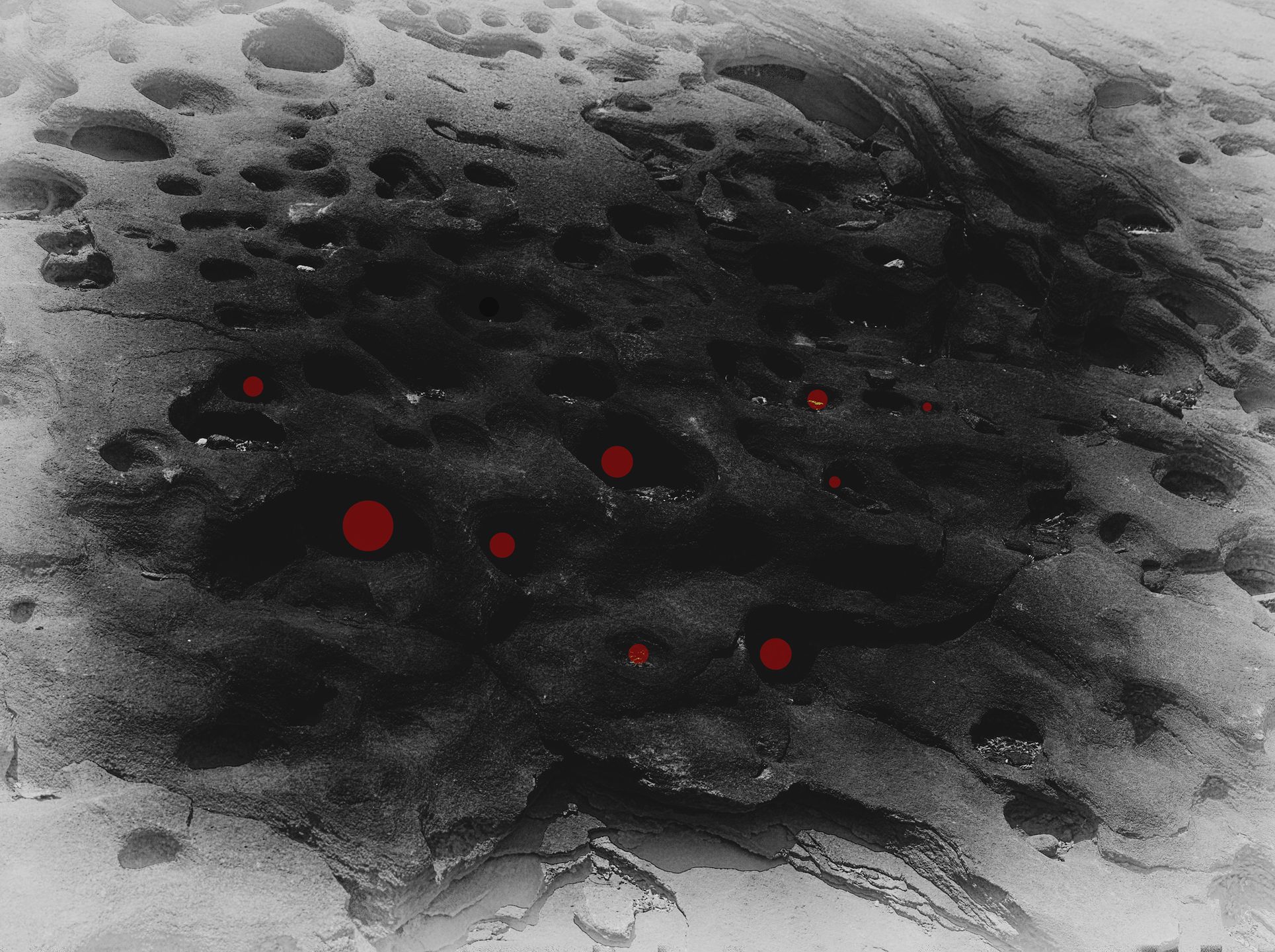 Kontrowersyjny materiał o samobójstwach wygrał Sony World Photography Awards 2019 87