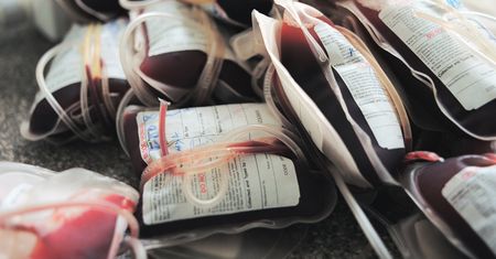 Masz taką grupę krwi? Masz większą szansę na długowieczność