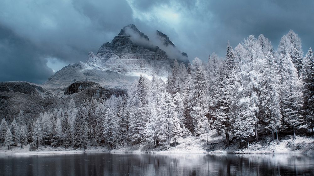 Przemysław Kruk ujął piękno polskich drzew w podczerwieni 1