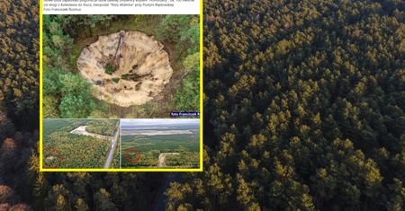 Grzybiarz stanął jak wryty. Poszedł na grzyby, znalazł to