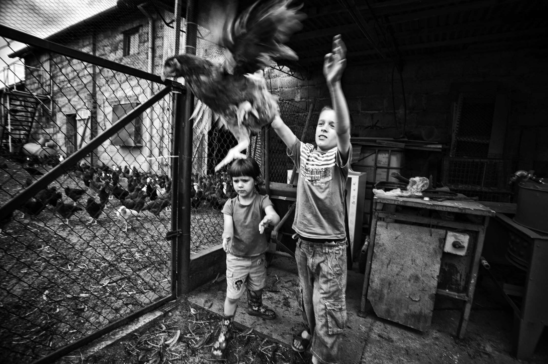 Zwycięzcy XI edycji Wielkiego Konkursu Fotograficznego National Geographic 2