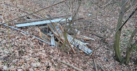 Taki widok w lesie. Leśnicy oburzeni. "Kompletnie nie potrafimy tego zrozumieć"