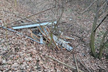 Taki widok w lesie. Leśnicy oburzeni. "Kompletnie nie potrafimy tego zrozumieć"