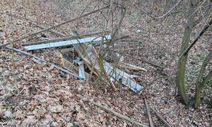 Taki widok w lesie. Leśnicy oburzeni. "Kompletnie nie potrafimy tego zrozumieć"