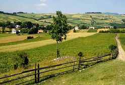 Ekologia - ostatnie 20 lat