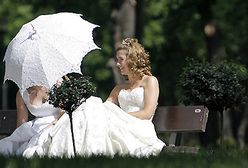 W pogoni za panną młodą