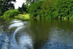 Płynie woda, płynie