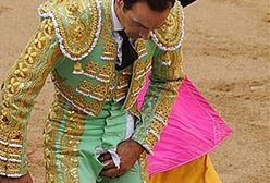 Byk "załatwił" matadora