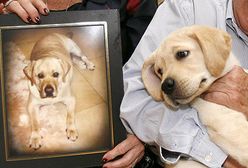 Szczeniak za 155 tys. dolarów