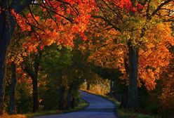 Jesień w obiektywie Internautów