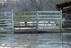 Wrocław ogłasza stan alarmowy