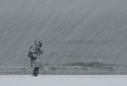 W futrze na plażę?