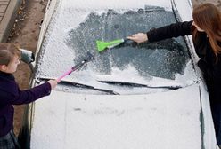 Spadł pierwszy śnieg