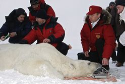 Władimir poskromił niedźwiedzia